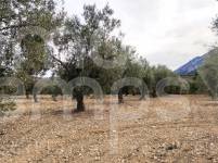 For sale - Rustic Land - Penáguila