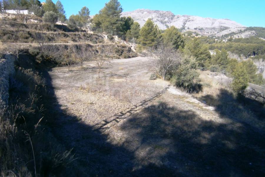 Venta - Finca - Cocentaina