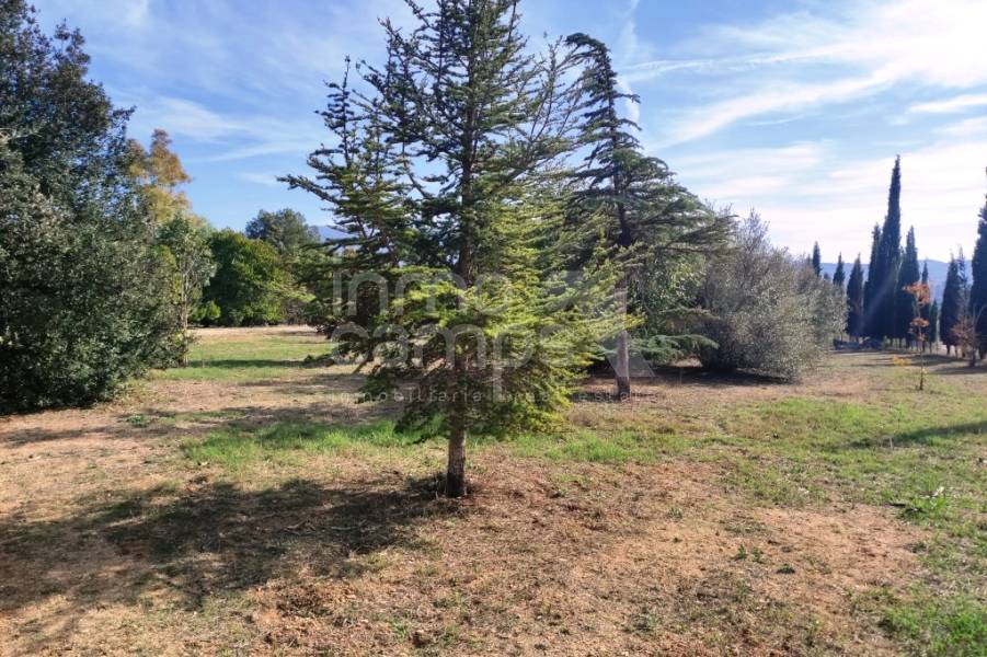 Venta - Casa de Campo - Muro de Alcoy