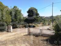 Venta - Finca - Ontinyent