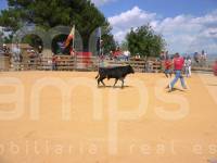 Venta - Finca - Ontinyent