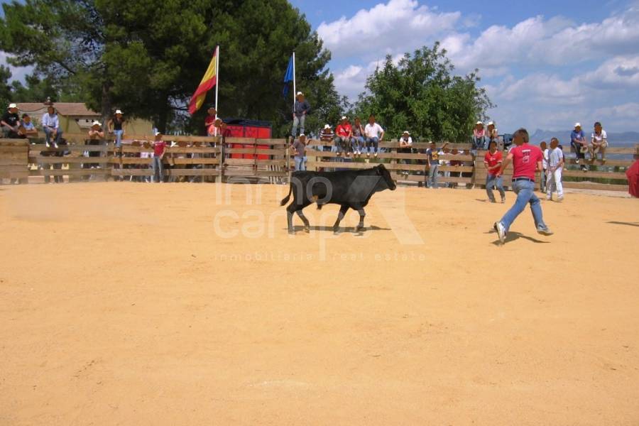 Venta - Finca - Ontinyent