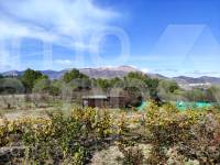 Venta - Casa de Campo - Planes