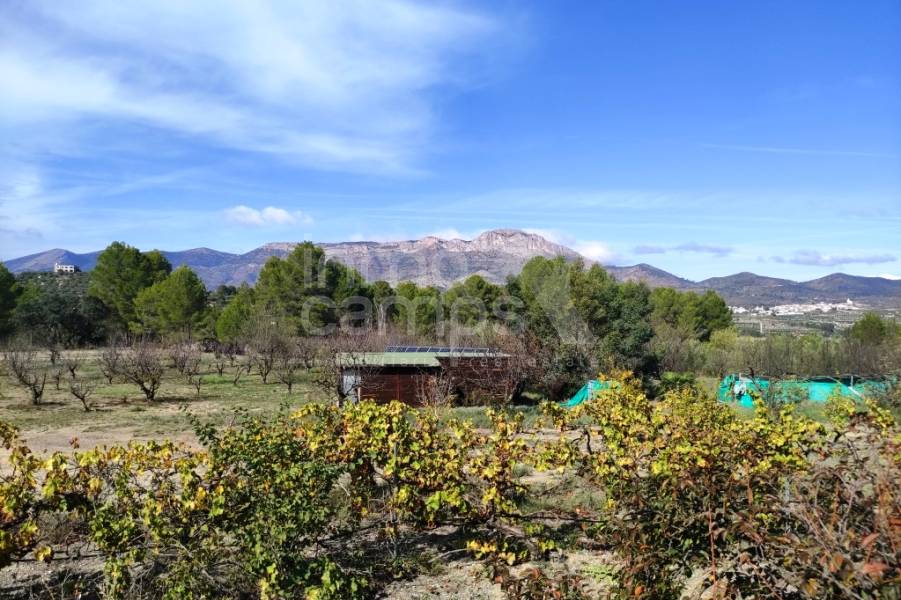 Venta - Casa de Campo - Planes