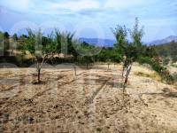 Venta - Casa de Campo - Penáguila