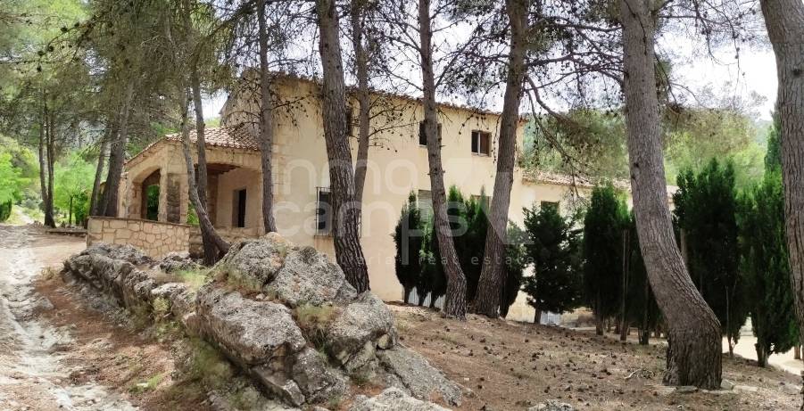 Venta - Finca - Alcoy