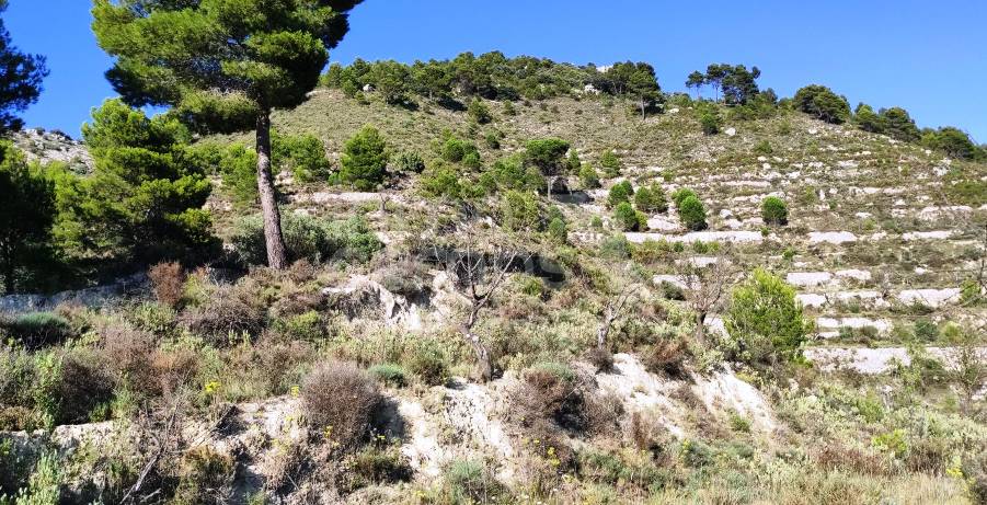 Venta - Casa de Campo - Benasau