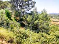 Venta - Parcela Rústica - Planes