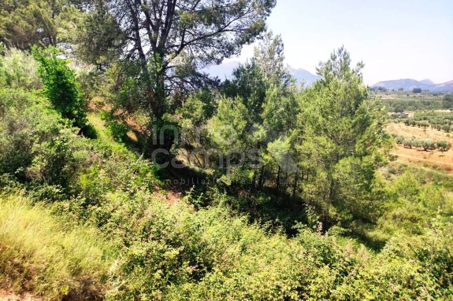 Venta - Parcela Rústica - Planes