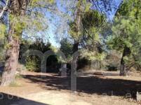 Venta - Finca - Bocairent