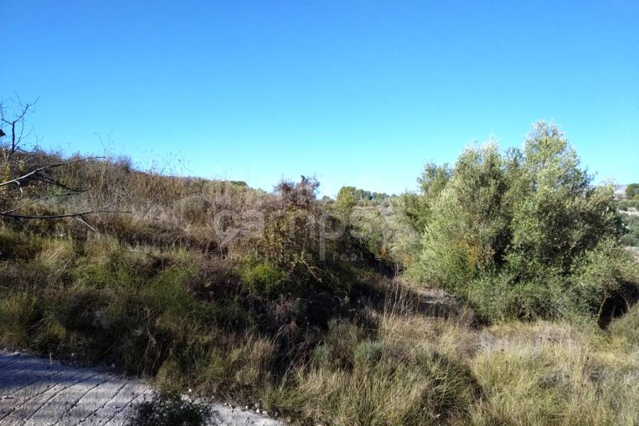 Te koop - Rustiek land - Benillup