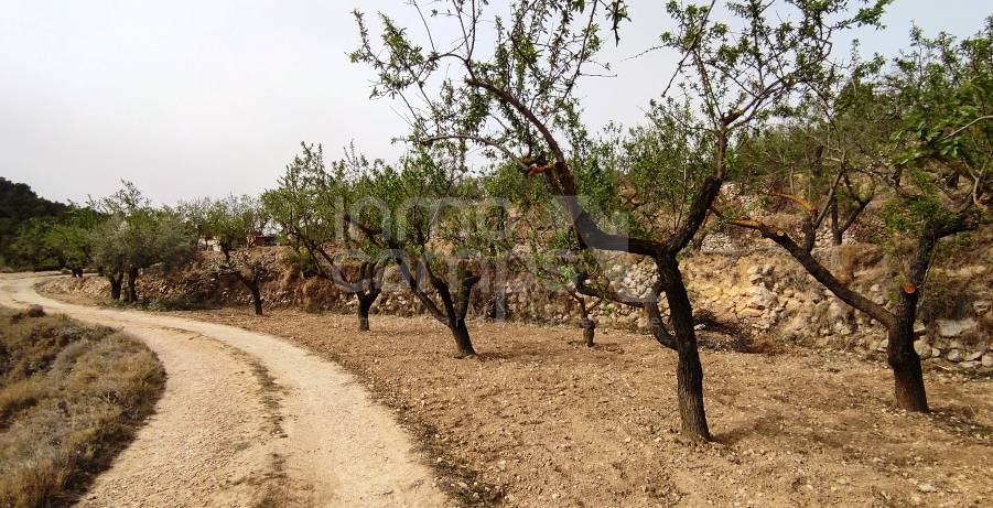 Venta - Finca - Penáguila