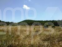 Venta - Finca - Bocairent