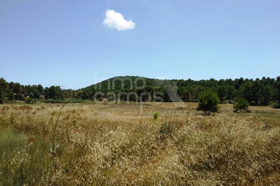 Venta - Finca - Bocairent