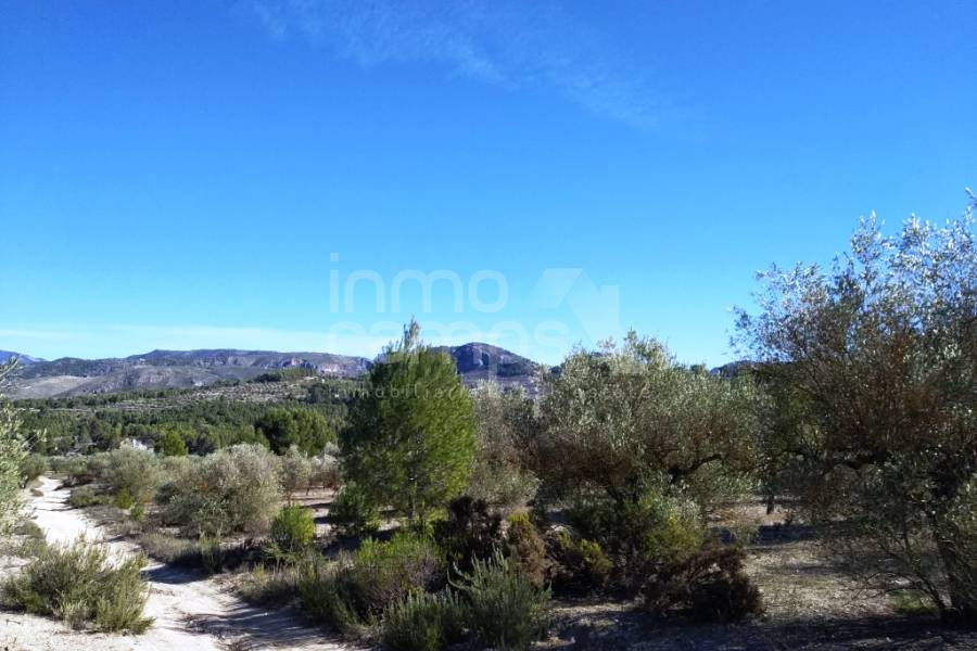 For sale - Rustic Land - Benimarfull