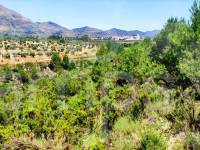 Venta - Parcela Rústica - Planes