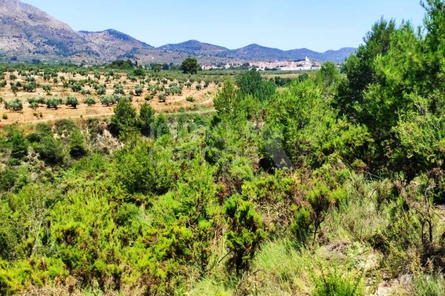 Venta - Parcela Rústica - Planes