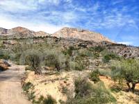 For sale - Country House - Gaianes