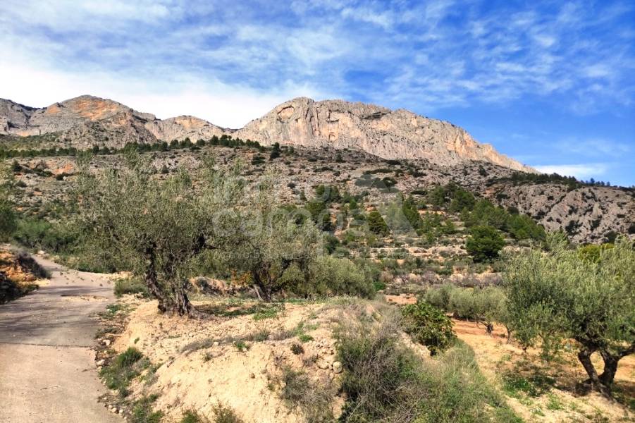 Venta - Casa de Campo - Gaianes