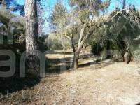 Venta - Casa de Campo - Agres