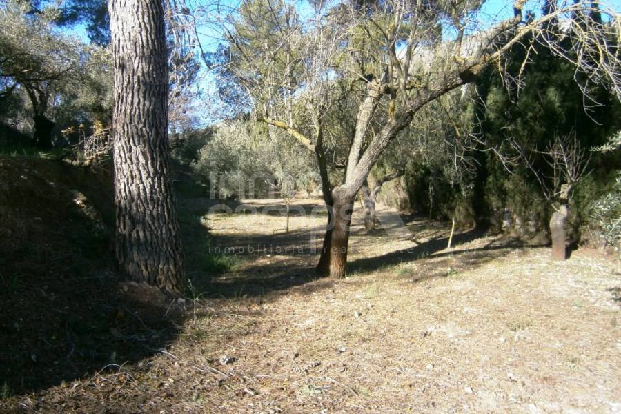 Venta - Casa de Campo - Agres