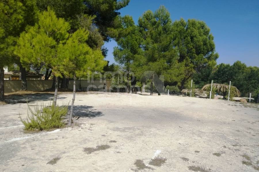 Te koop - Finca - Ontinyent