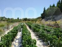 Venta - Casa de Campo - Montaverner