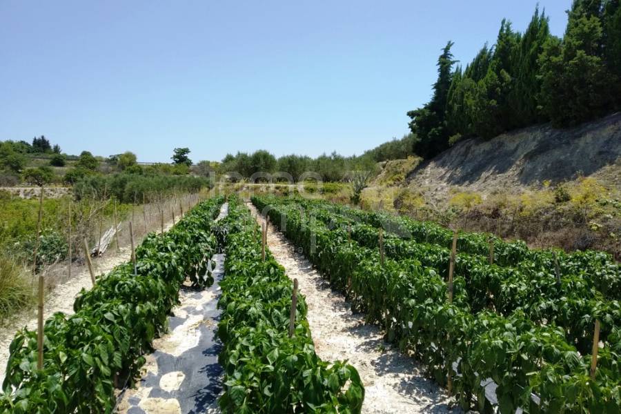 Venta - Casa de Campo - Montaverner