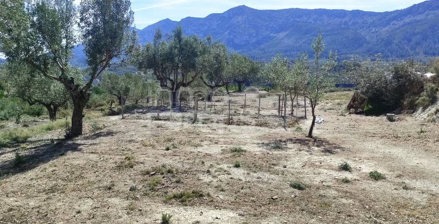 Venta - Casa de Campo - Gorga