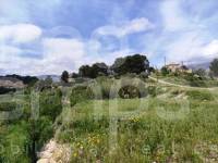 Venta - Finca - Cocentaina