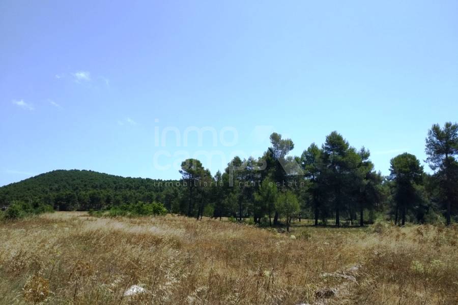 Venta - Finca - Bocairent