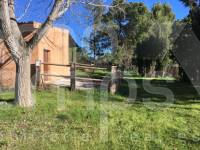 Venta - Finca - Bocairent