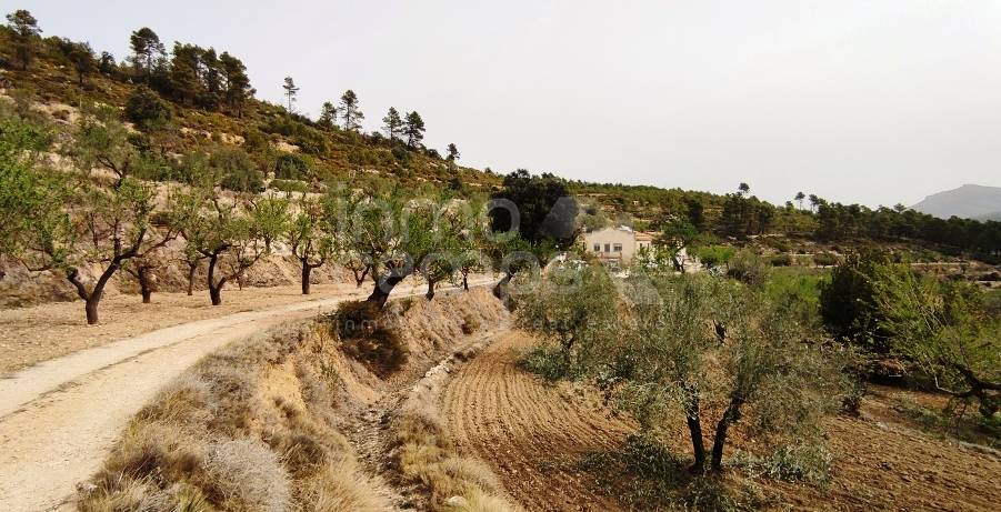 Venta - Finca - Penáguila