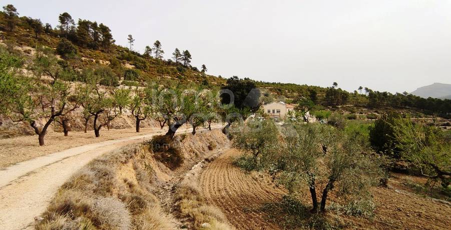 Te koop - Finca - Penáguila