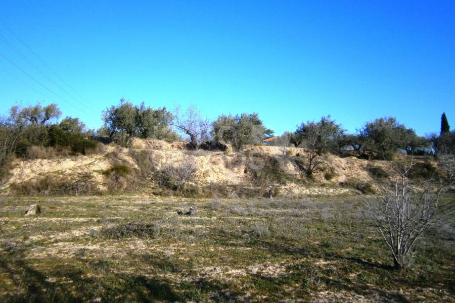 Venta - Parcela Rústica - Agullent