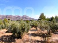 For sale - Country House - Alcocer de Planes