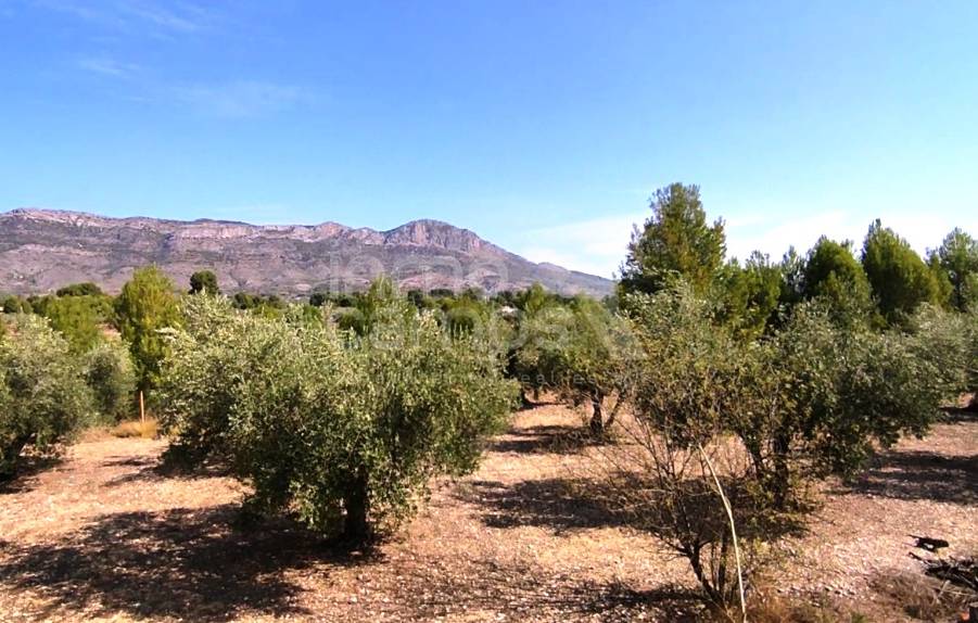 Venta - Casa de Campo - Alcocer de Planes