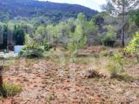 Venta - Casa de Campo - Villalonga