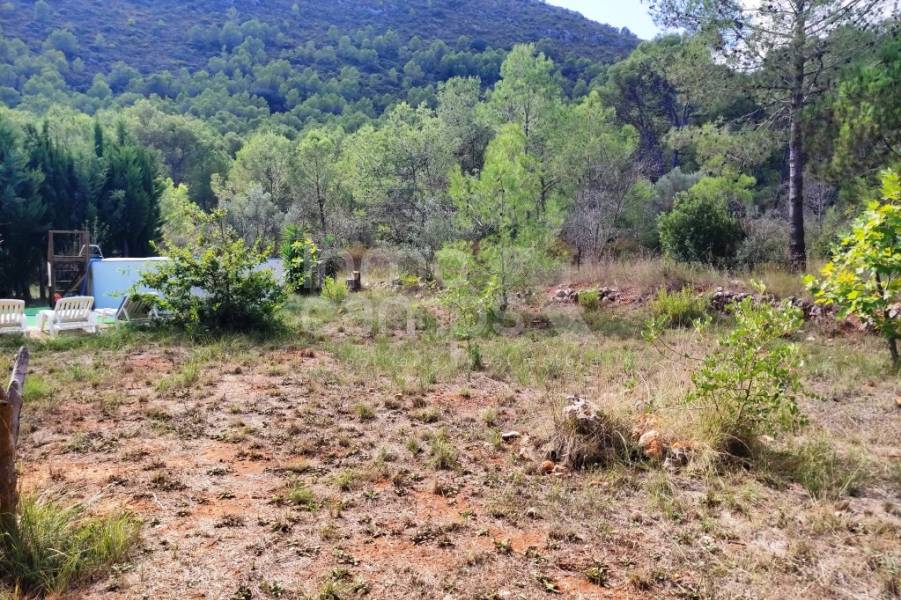 Venta - Casa de Campo - Villalonga