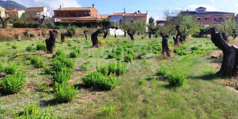 Sell your house in Gaianes and let others discover this incomparable corner of the world to live in