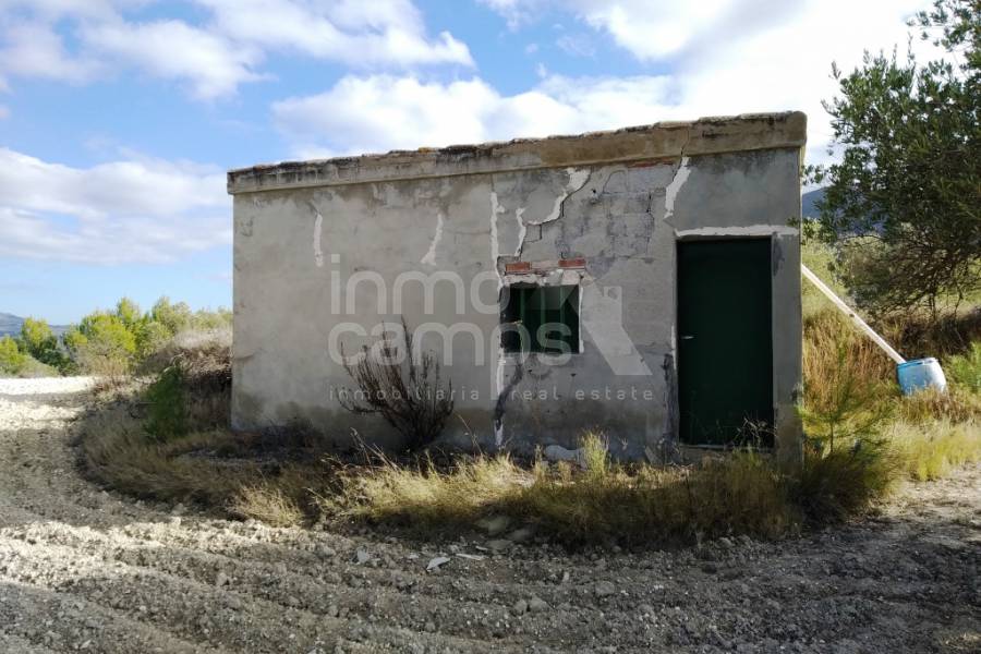 For sale - Rustic Land - Benillup