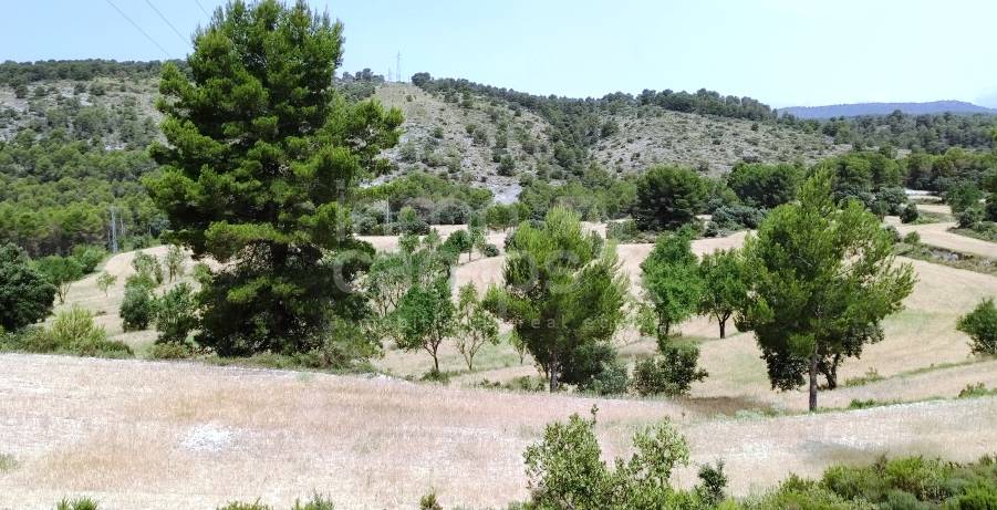 Venta - Finca - Alcoy