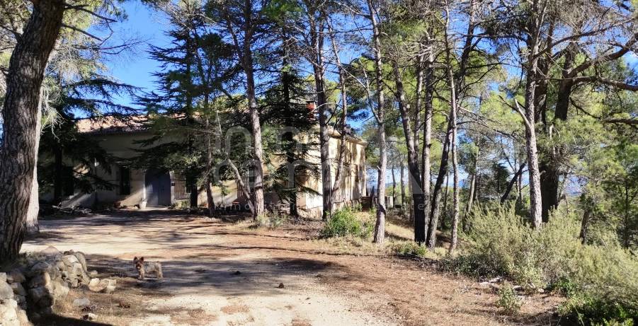 Te koop - Finca - Alcoy