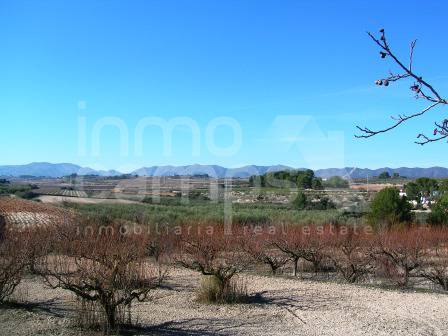 Te koop - Finca - Albaida