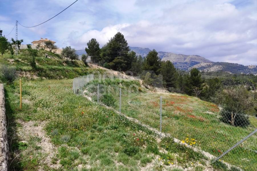 Venta - Finca - Cocentaina