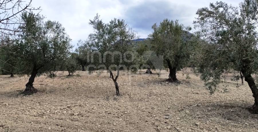 For sale - Rustic Land - Penáguila