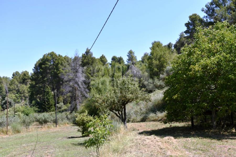 Venta - Finca - Cocentaina