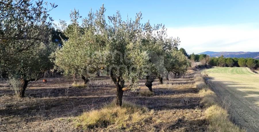 For sale - Rustic Land - Agres