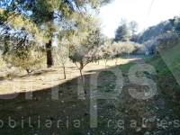 Venta - Casa de Campo - Agres