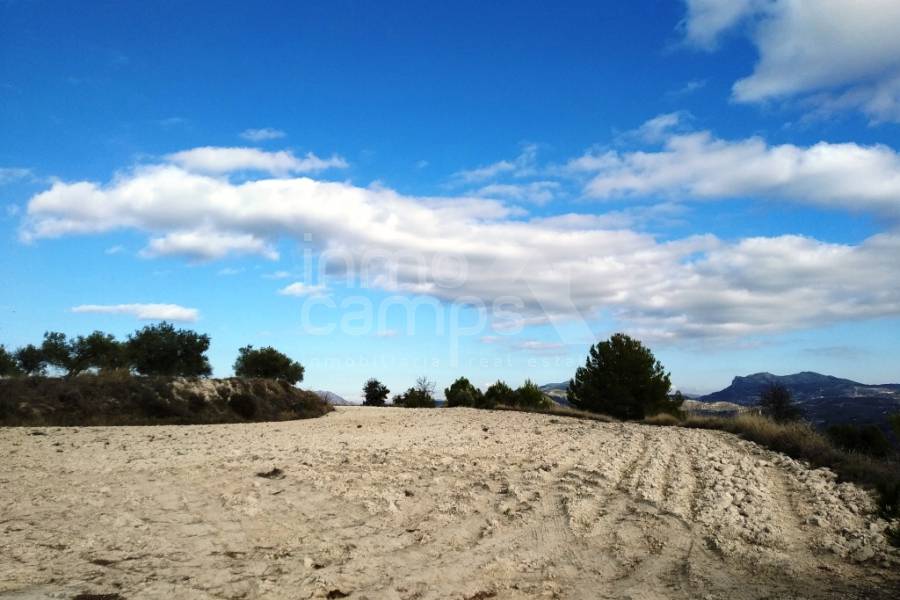 For sale - Rustic Land - Benillup